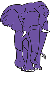Purple Elephant Apparel